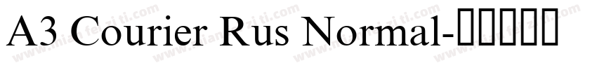 A3 Courier Rus Normal字体转换